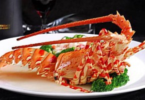 東北春節特色美食節，帶您感受年的味道！