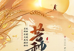 芒種|愿你光“芒”萬丈，不負(fù)“種”望