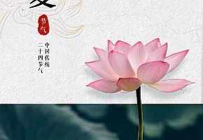 立夏|一夏安康，向陽生長