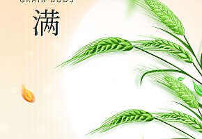 小滿|萬物見長，小得盈滿