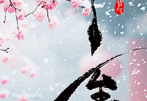 冬至|冬至大如年，人間小團圓