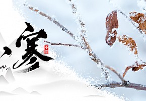 小寒丨心中有暖，歲月不寒